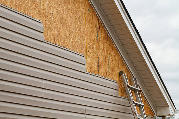 Professional Storm Damage Siding Repair technician working in Greenbush, VA
